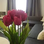 Dalia Appartement Vecindario (Gran Canaria)