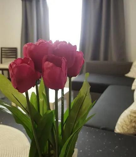 Dalia Daire Vecindario (Gran Canaria)