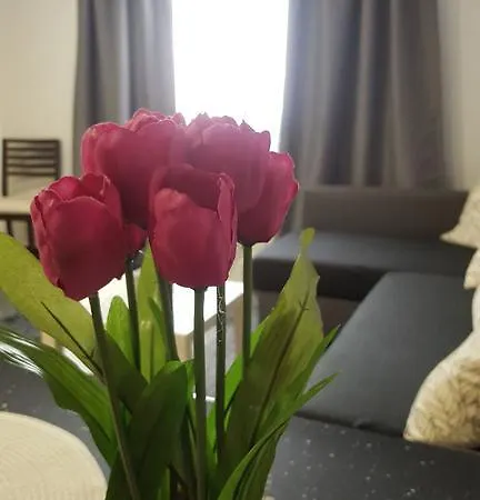 Dalia דירה וסינדריו